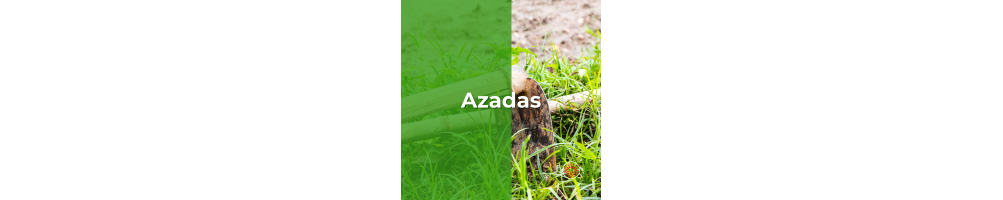 Azadas
