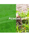 Azadas