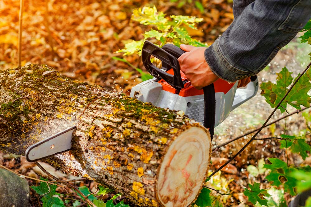 afilar-una-motosierra