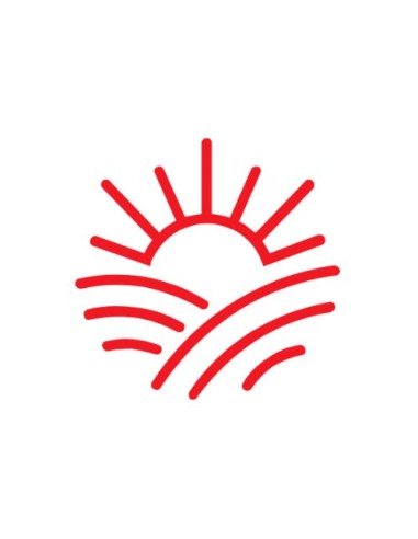 ZAPATO NOBUK METAL FREE OLIMPIA S1P...